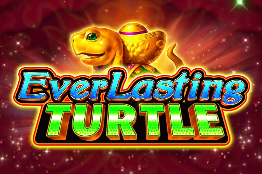 Everlasting Turtle